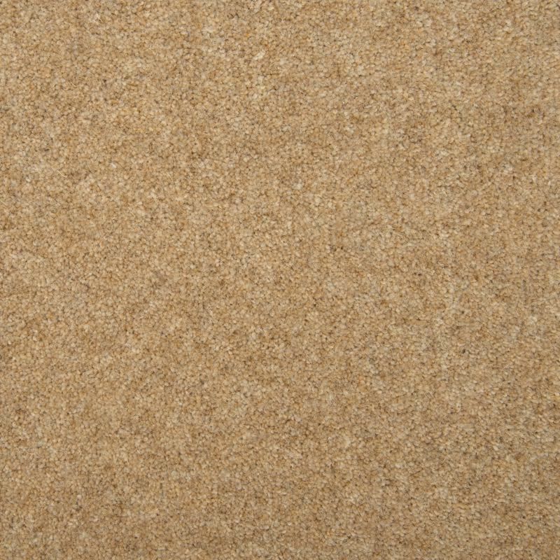 Penthouse Carpets Esprit Nouveau Pegasus 50oz