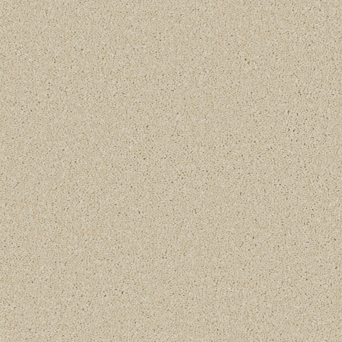 Cormar Carpet Co Zenith Callisto