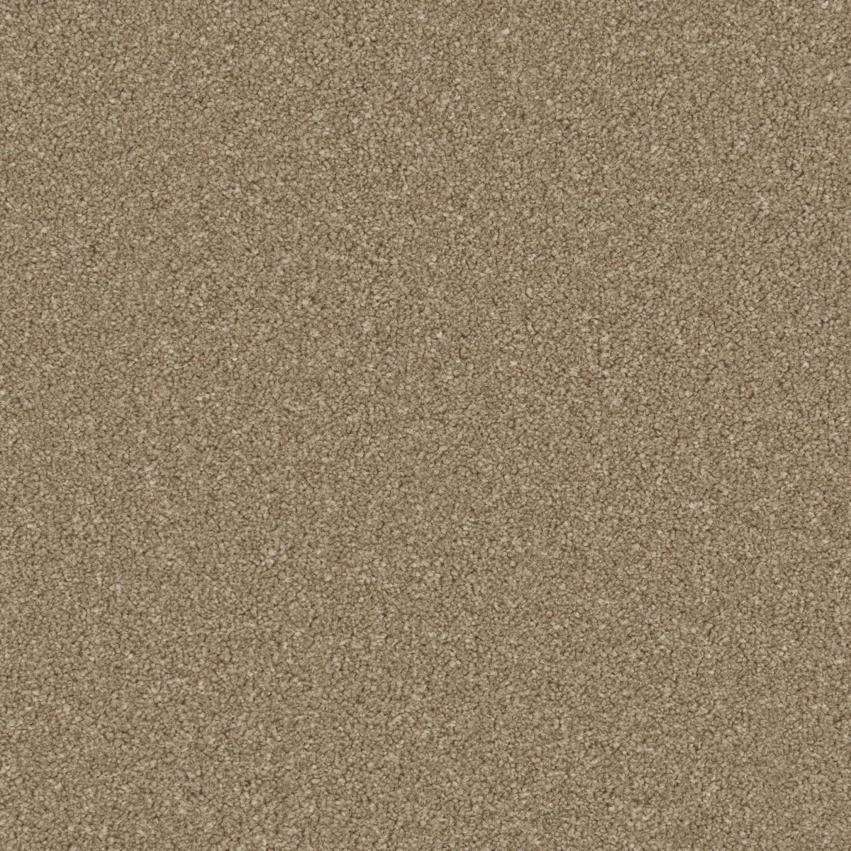 Cormar Carpet Co Zenith Callisto