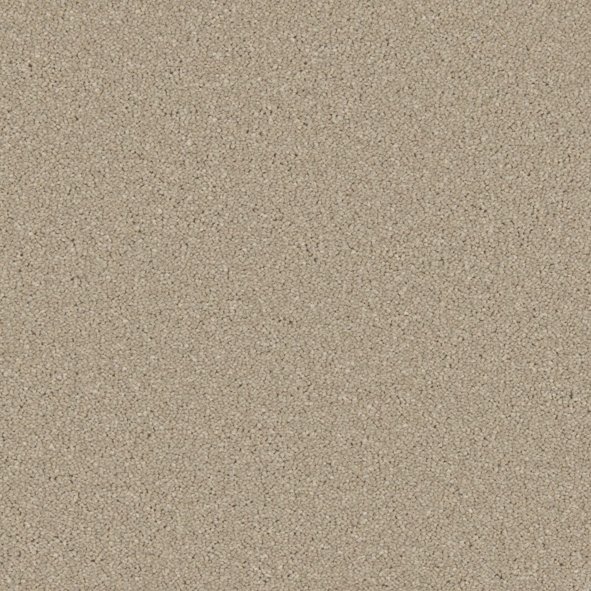 Cormar Carpet Co Zenith Callisto
