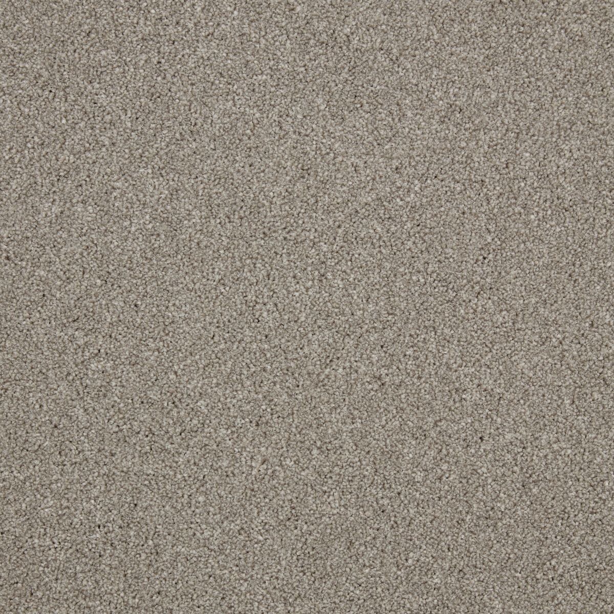 Cormar Carpet Co Zenith Callisto