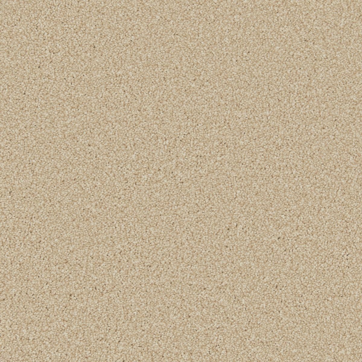 Cormar Carpet Co Zenith Callisto