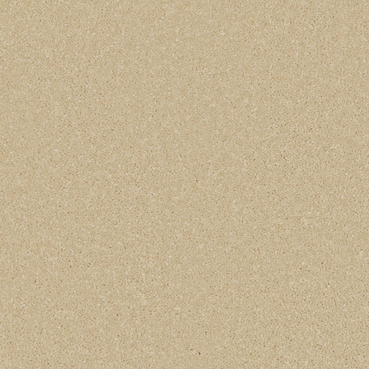 Cormar Carpet Co Zenith Callisto