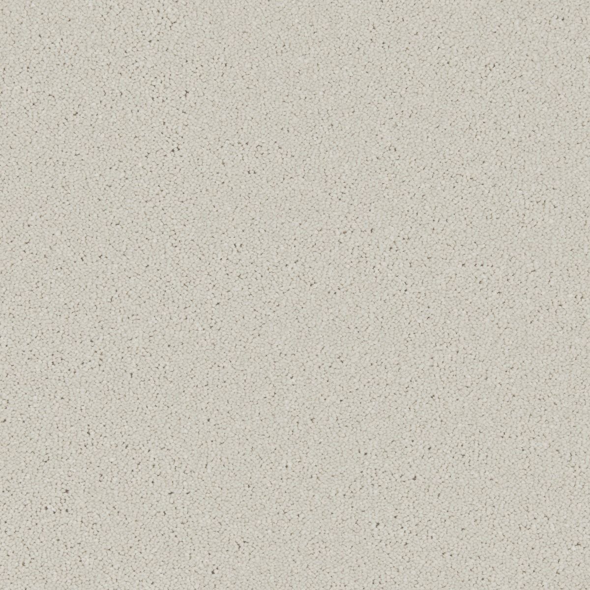 Cormar Carpet Co Zenith Callisto