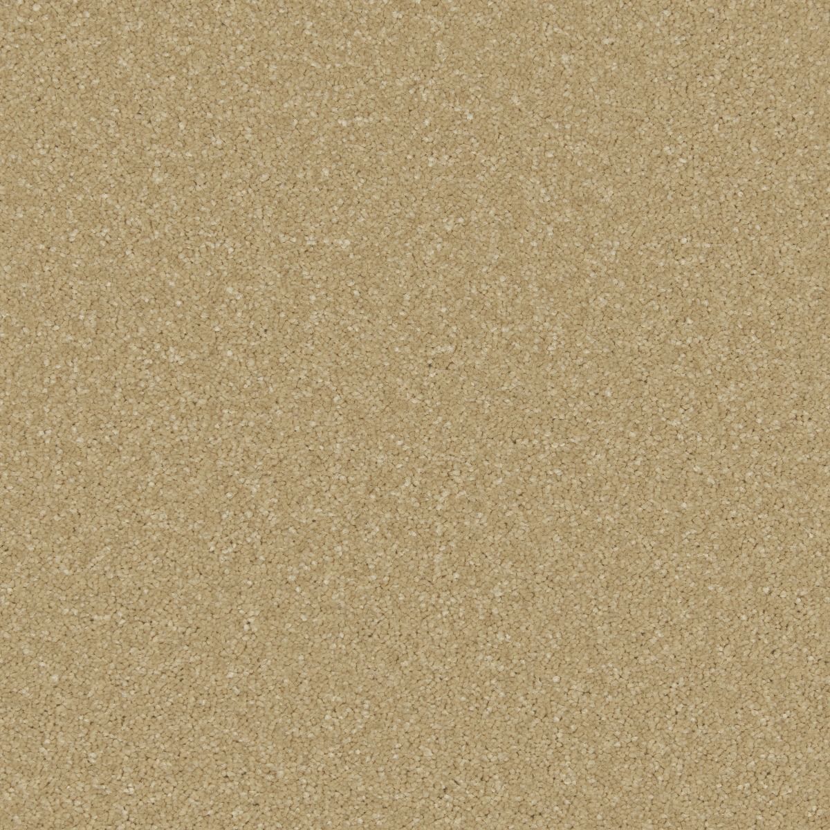Cormar Carpet Co Zenith Callisto