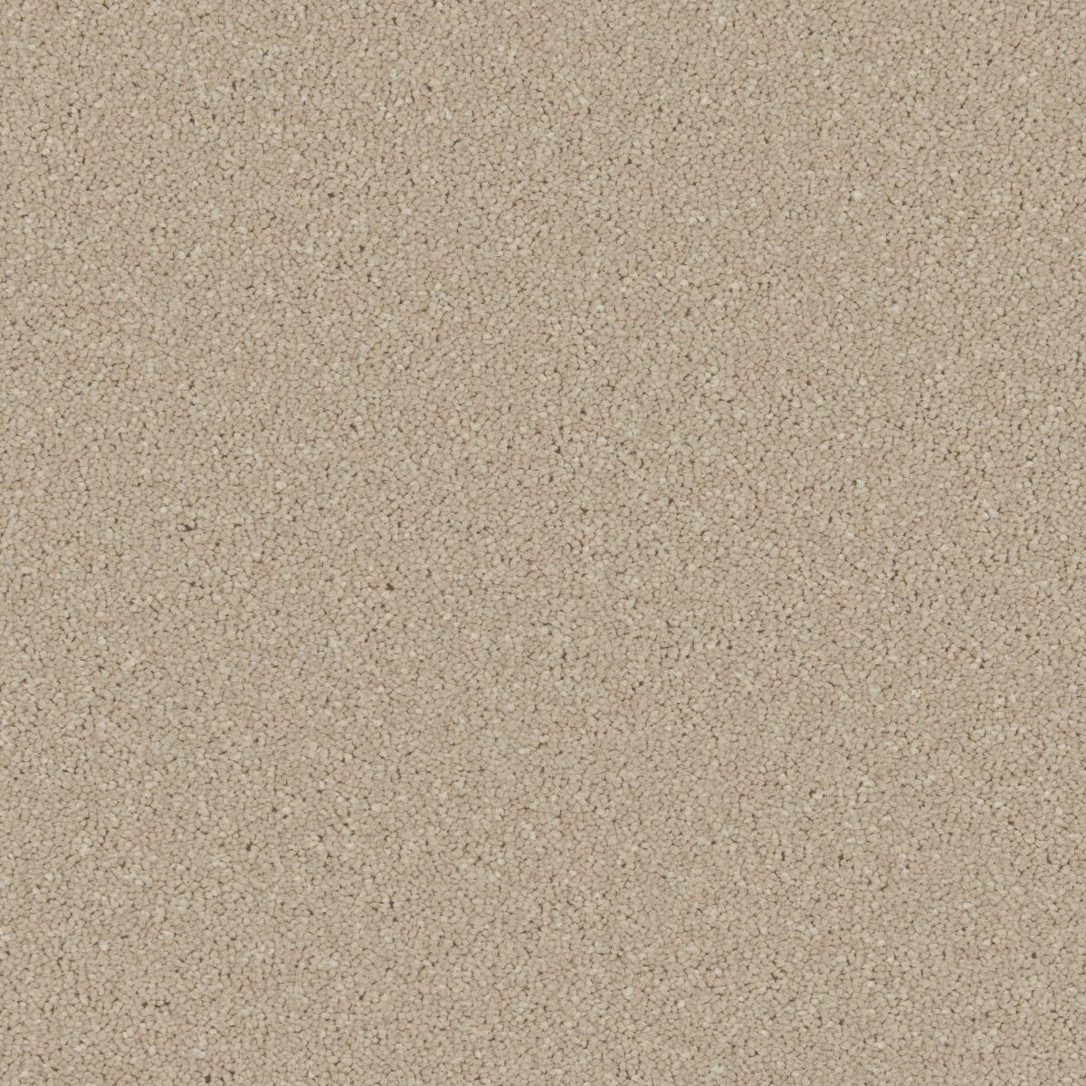 Cormar Carpet Co Zenith Callisto
