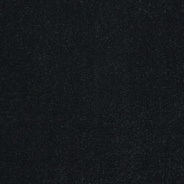 Abingdon Carpet Stainfree Captivation Black Raven Abingdon Carpet Stainfree Captivation Black Raven