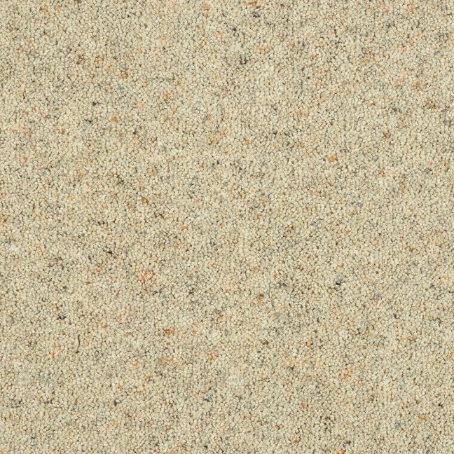Abingdon Carpet Wilton Royal Charter Berber Deluxe Nutmeg Abingdon Carpet Wilton Royal Charter Berber Deluxe Nutmeg