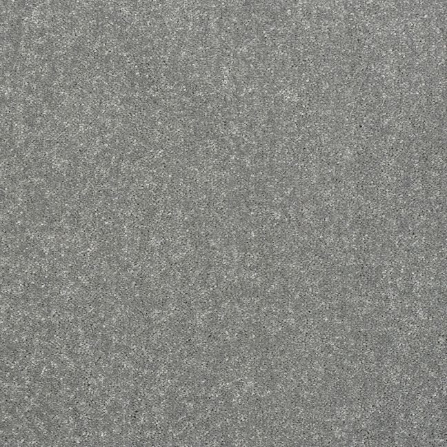 Abingdon Carpet Stainfree Captivation Frosted Steel 