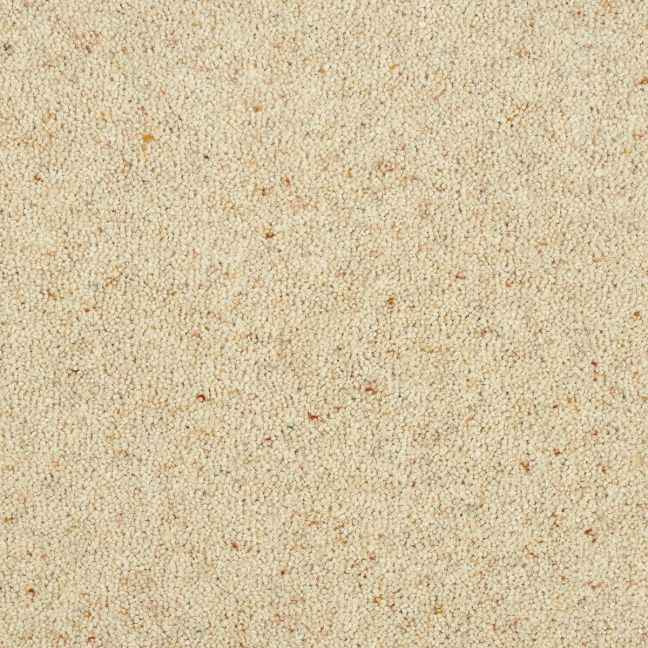 Abingdon Carpet Wilton Royal Charter Berber Deluxe Irish Cream
