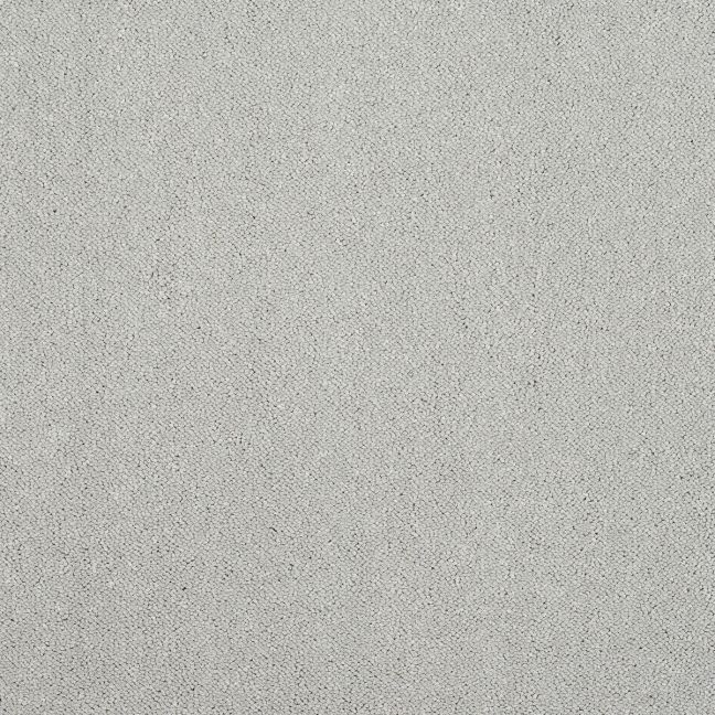 Abingdon Carpet Stainfree Captivation Tundra Frost Abingdon Carpet Stainfree Captivation Tundra Frost