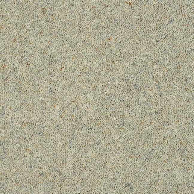 Abingdon Carpet Wilton Royal Charter Berber Deluxe Dove Grey 