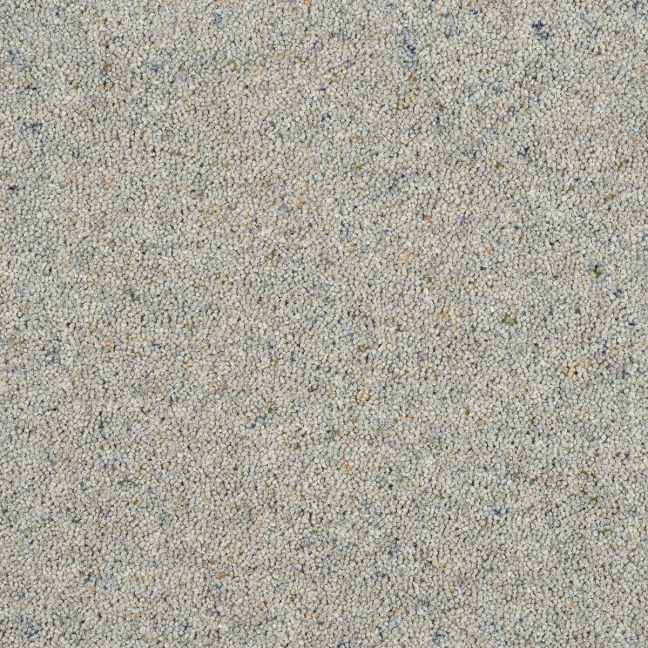 Abingdon Carpet Wilton Royal Charter Berber Deluxe Silhouette