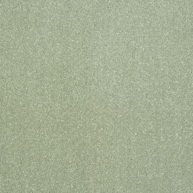 Abingdon Carpet Stainfree Captivation Putting Green