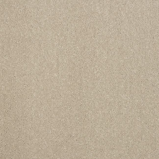Abingdon Carpet Stainfree Captivation Moon Cloud - Lowest Online Prices
Abingdon Carpet Stainfree Captivation Moon Cloud - Lowest Online Prices