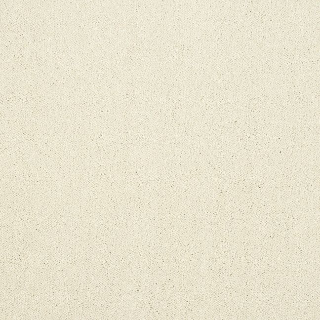Abingdon Carpet Stainfree Captivation Cloudy Dreams Abingdon Carpet Stainfree Captivation Cloudy Dreams