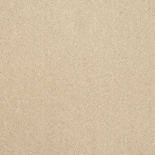 Abingdon Carpet Stainfree Captivation Linen Wash Abingdon Carpet Stainfree Captivation Linen Wash