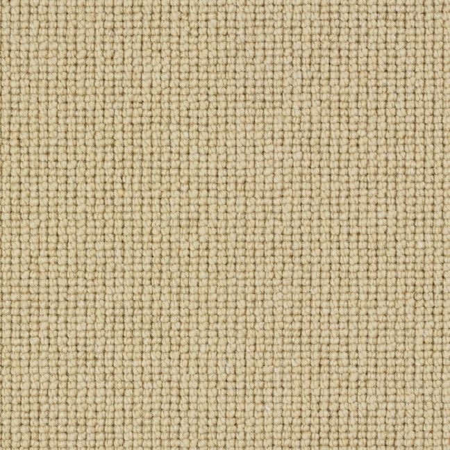 Abingdon Carpet Wilton Royal Charter Plain Loop Montadale Abingdon Carpet Wilton Royal Charter Plain Loop Montadale