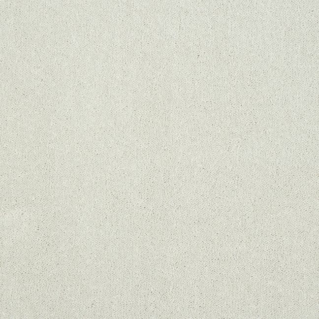 Abingdon Carpet Stainfree Captivation Nimbus Cloud - Lowest Online Prices