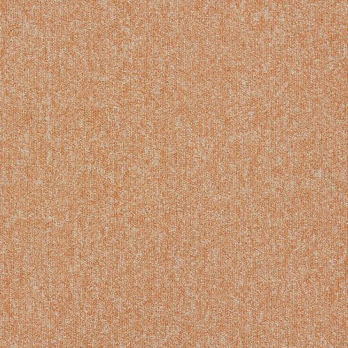 Cantaloupe 1267246