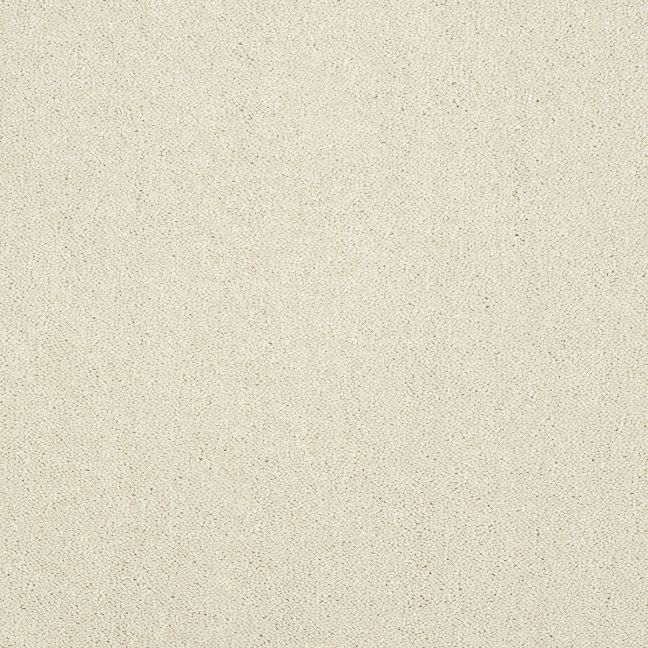 Abingdon Carpet Stainfree Captivation Snowfall Abingdon Carpet Stainfree Captivation Snowfall