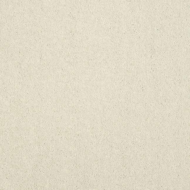 Abingdon Carpet Stainfree Pure Elegance Snowfall