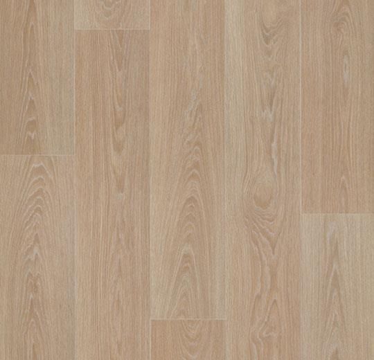 Forbo Heterogeneous Eternal Wood Blond Timber 13802 Forbo Heterogeneous Eternal Wood Blond Timber 13802