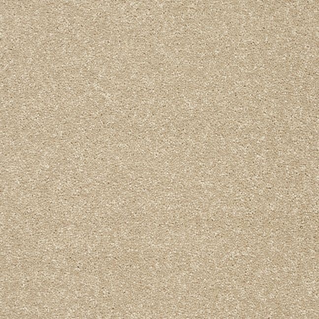 Abingdon Carpets Stainfree Twist Twisted Cotton