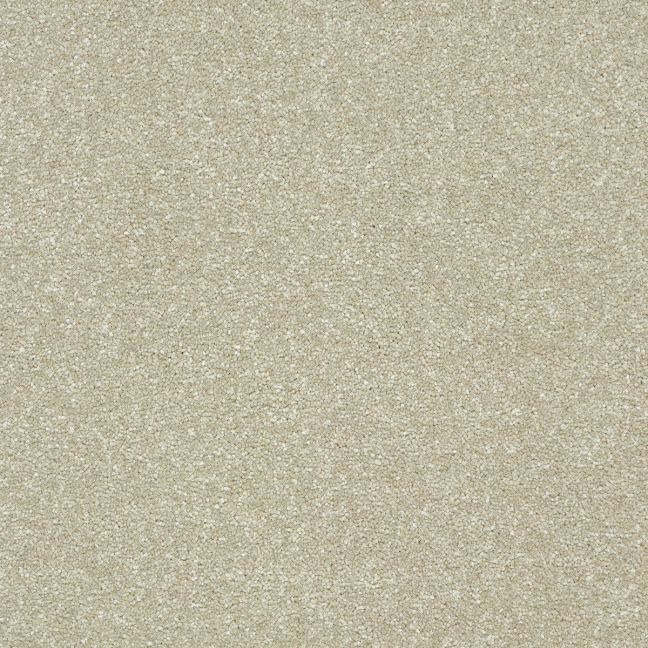 Abingdon Carpets Stainfree Twist Dove
