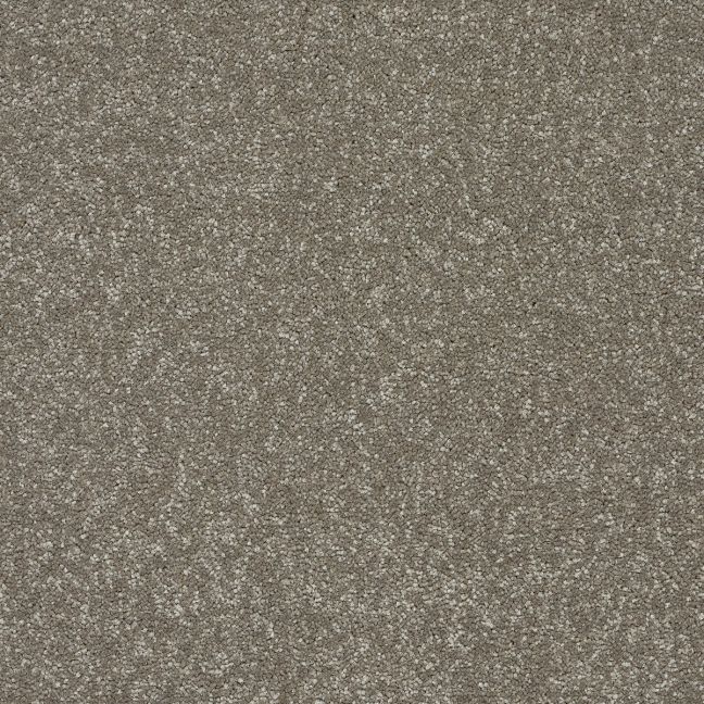 Abingdon Carpets Stainfree Twist Velvet Crush