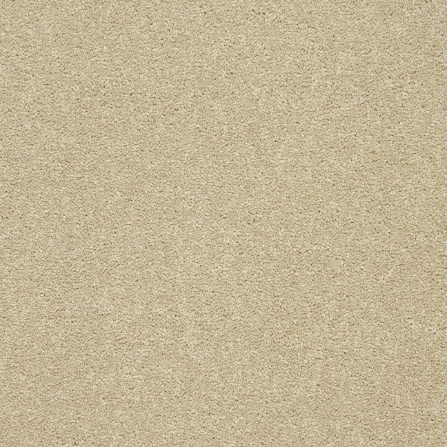 Abingdon Carpets Stainfree Twist Timeless