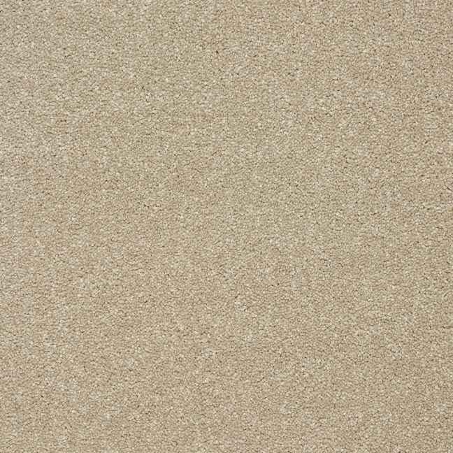 Abingdon Carpets Stainfree Twist Dark Ecru