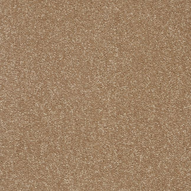 Abingdon Carpets Stainfree Twist Mocha