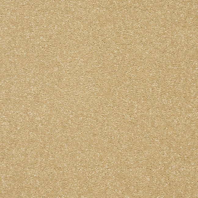 Abingdon Carpets Stainfree Twist Honey Gold Abingdon Carpets Stainfree Twist Honey Gold