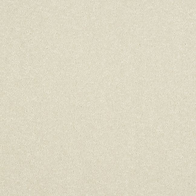 Abingdon Carpets Stainfree Ultra White Whisper Abingdon Carpets Stainfree Ultra White Whisper
