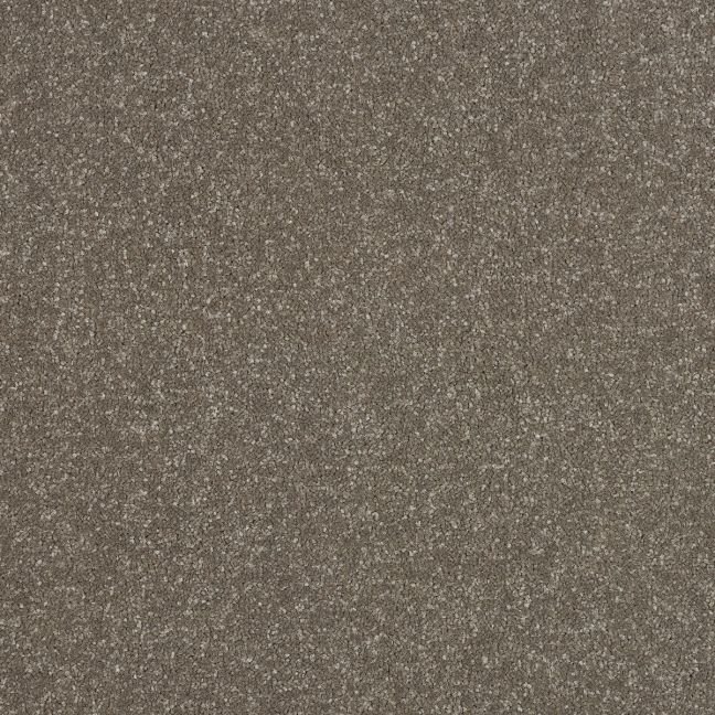Abingdon Carpets Stainfree Ultra Dolomite