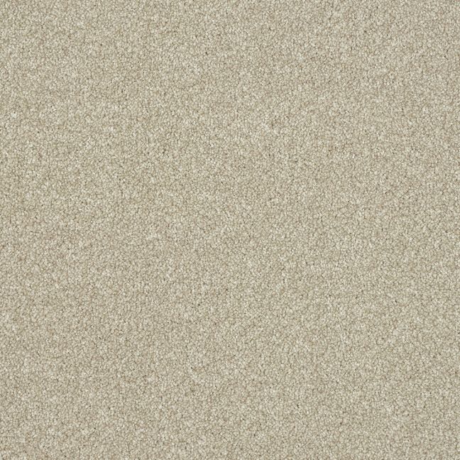 Abingdon Carpets Stainfree Ultra Oat Abingdon Carpets Stainfree Ultra Oat