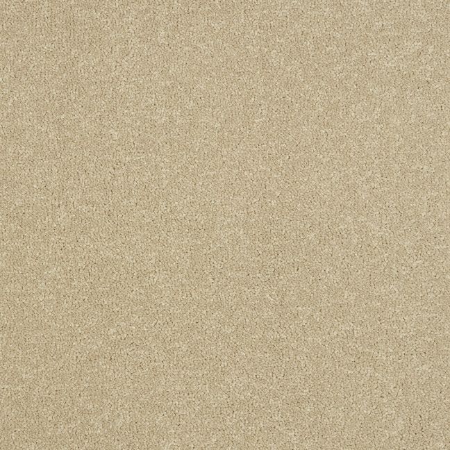 Abingdon Carpets Stainfree Ultra Antique Cream