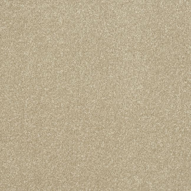 Abingdon Carpets Stainfree Ultra Country Beige