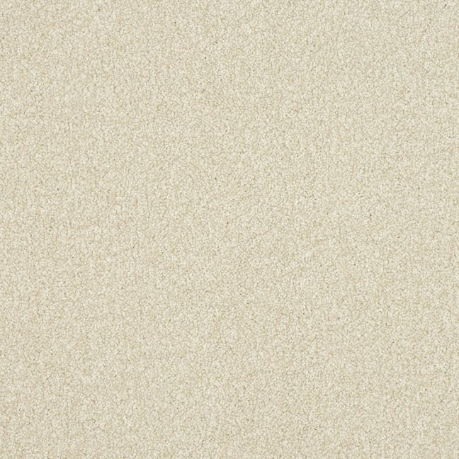 Abingdon Carpets Stainfree Ultra Powder Abingdon Carpets Stainfree Ultra Powder