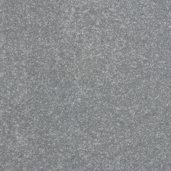 Abingdon Carpets Stainfree Ultra  Platinum