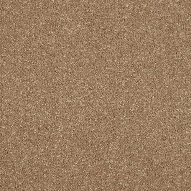 Abingdon Carpets Stainfree Ultra Cocoa Cream Abingdon Carpets Stainfree Ultra Cocoa Cream