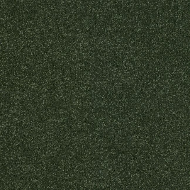 Abingdon Carpets Stainfree Ultra Moss