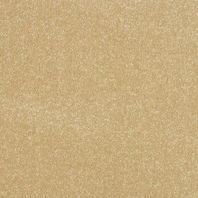 Abingdon Carpets Stainfree Ultra Hampton