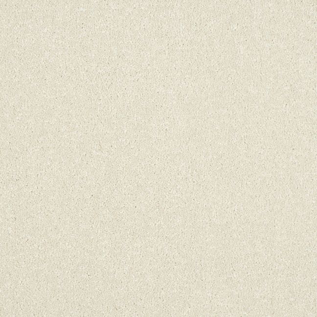 Abingdon Carpets Stainfree Maximus Pearl