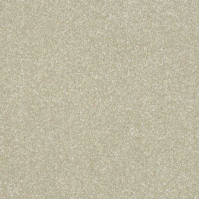 Abingdon Carpets Stainfree Maximus Dove