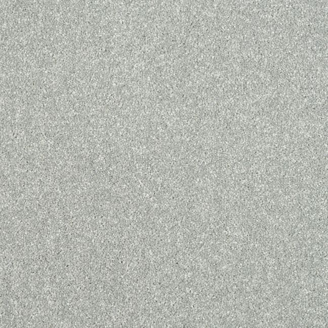 Abingdon Carpets Stainfree Maximus Smoke