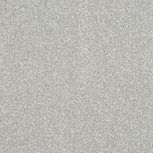 Abingdon Carpets Stainfree Maximus Feather Abingdon Carpets Stainfree Maximus Feather