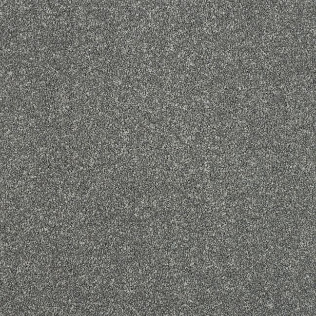 Abingdon Carpets Stainfree Maximus Grey Steel Abingdon Carpets Stainfree Maximus Grey Steel