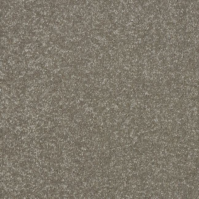 Abingdon Carpets Stainfree Maximus Velvet Crush Abingdon Carpets Stainfree Maximus Velvet Crush